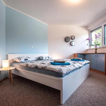 Jelka Apartment Bohinj